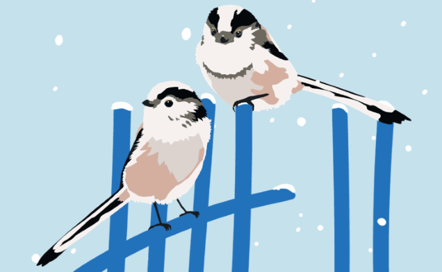 Cez víkend sa pridajte k sčítaniu vtáctva na zimných kŕmidlách