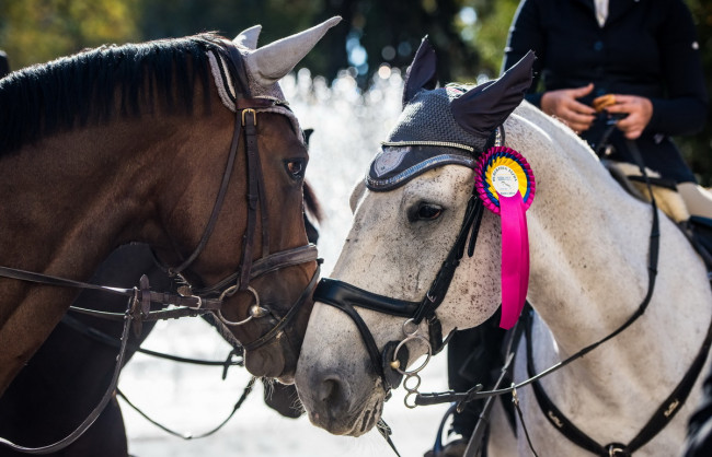 Hubertova jazda 2018