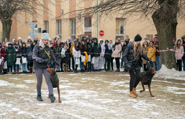 Deň otvorených dverí 2019