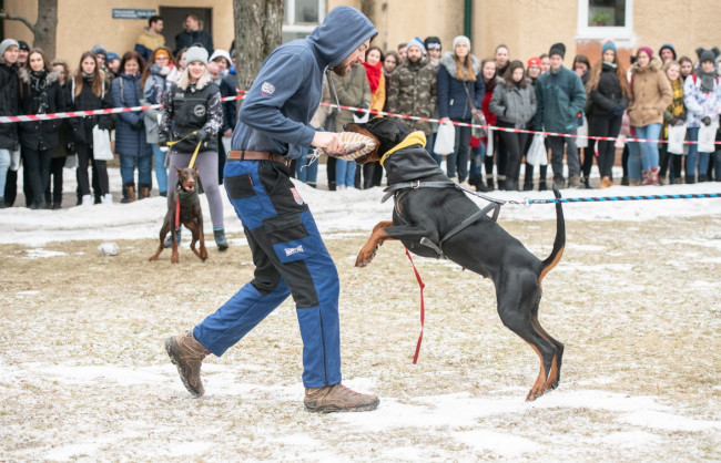 Deň otvorených dverí 2019