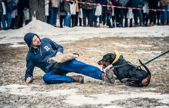 Deň otvorených dverí 2019