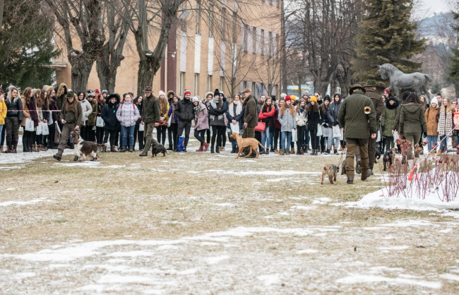 Deň otvorených dverí 2019