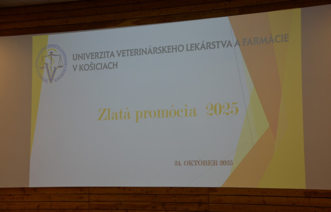 Zlatá promócia 2025