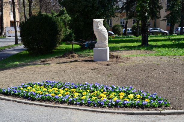 Owl guards the university