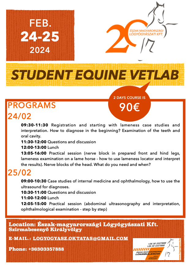 Students equine vetlab