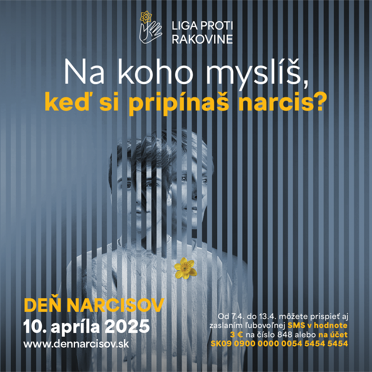 Den_narcisov2025