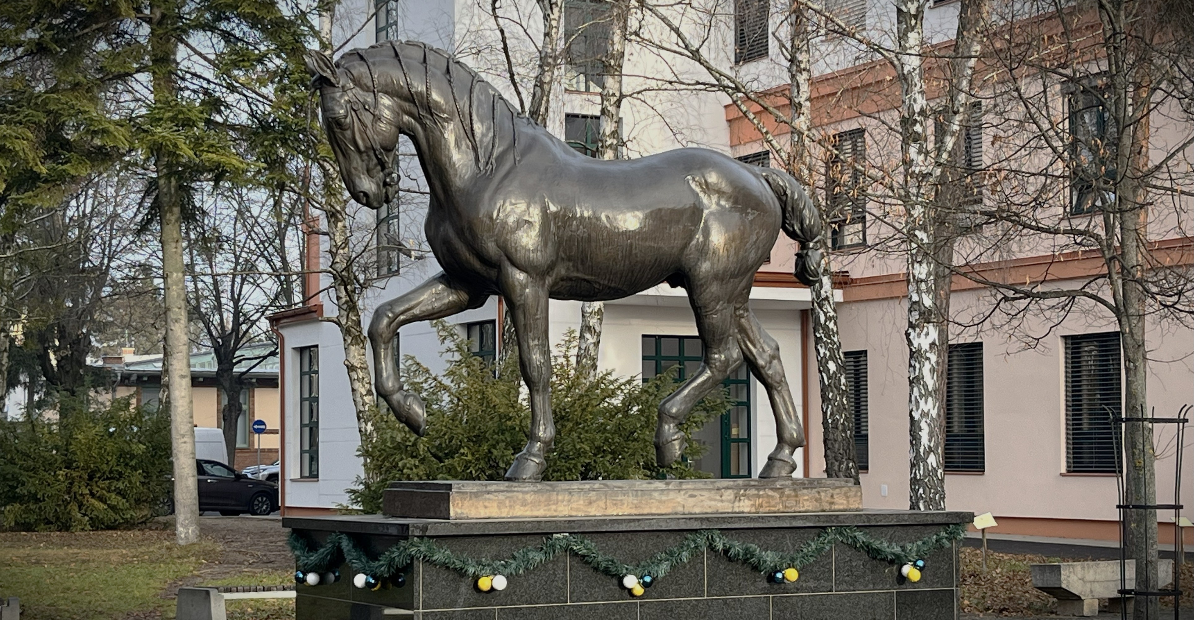 Predovšetkým zdravie želáme ľuďom aj zvieratám okolo nás