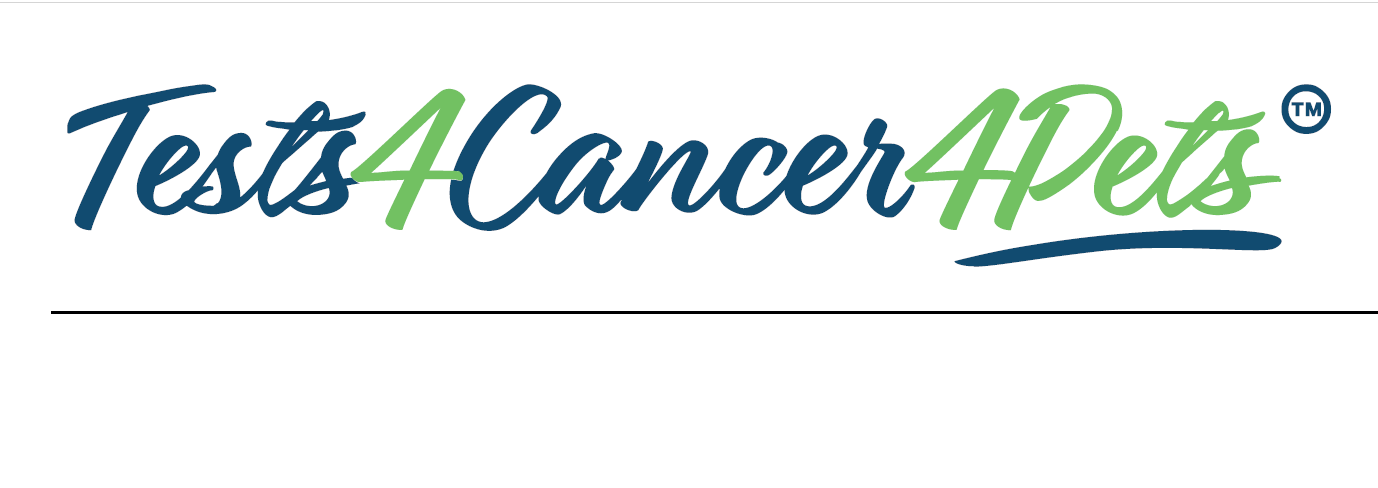 Test4Cancer4Pets hľadá študenta/brigádnika, študentku/brigádničku