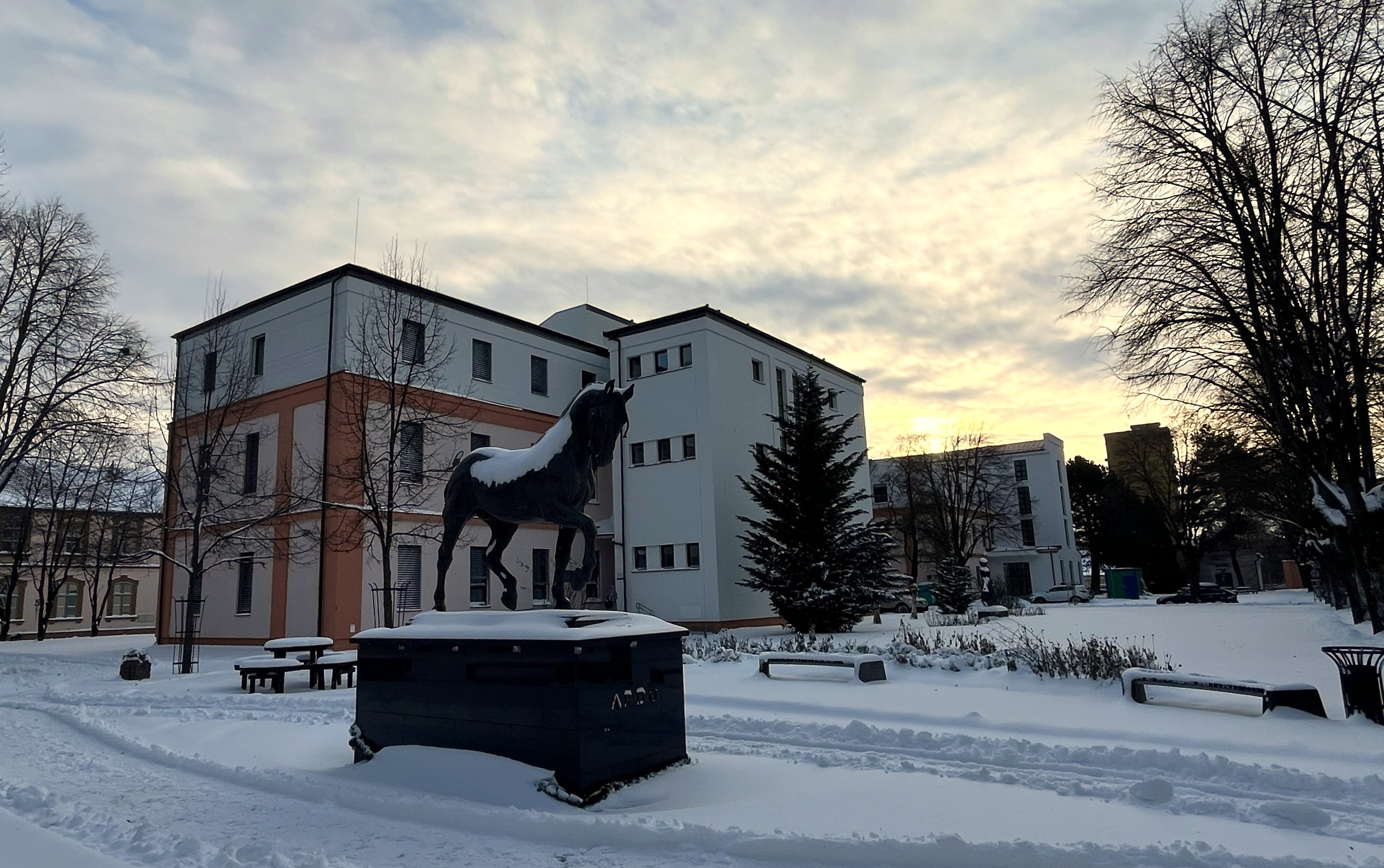 Zdravý, pokojný a úspešný rok ľuďom i univerzite