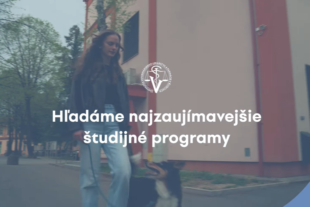 video_ministerstvo_skolstva