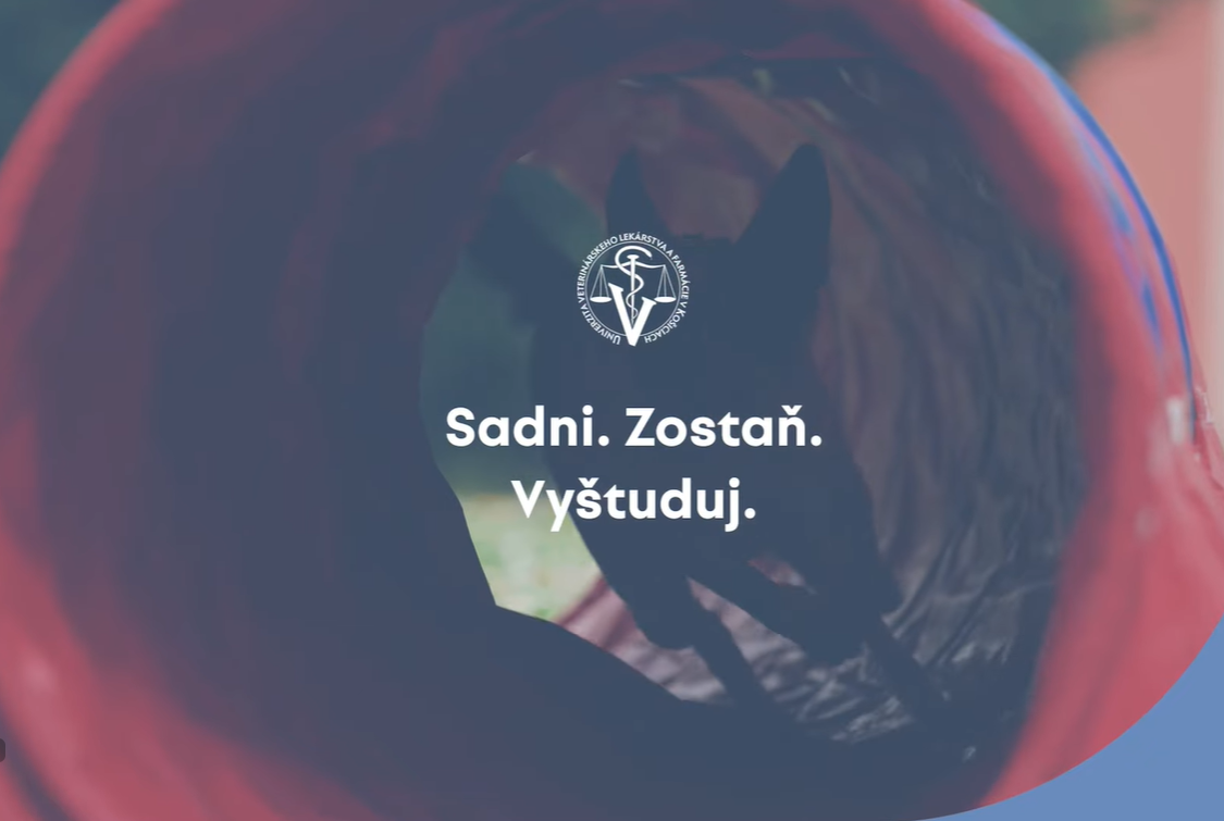 video_ministerstvo_skolstva