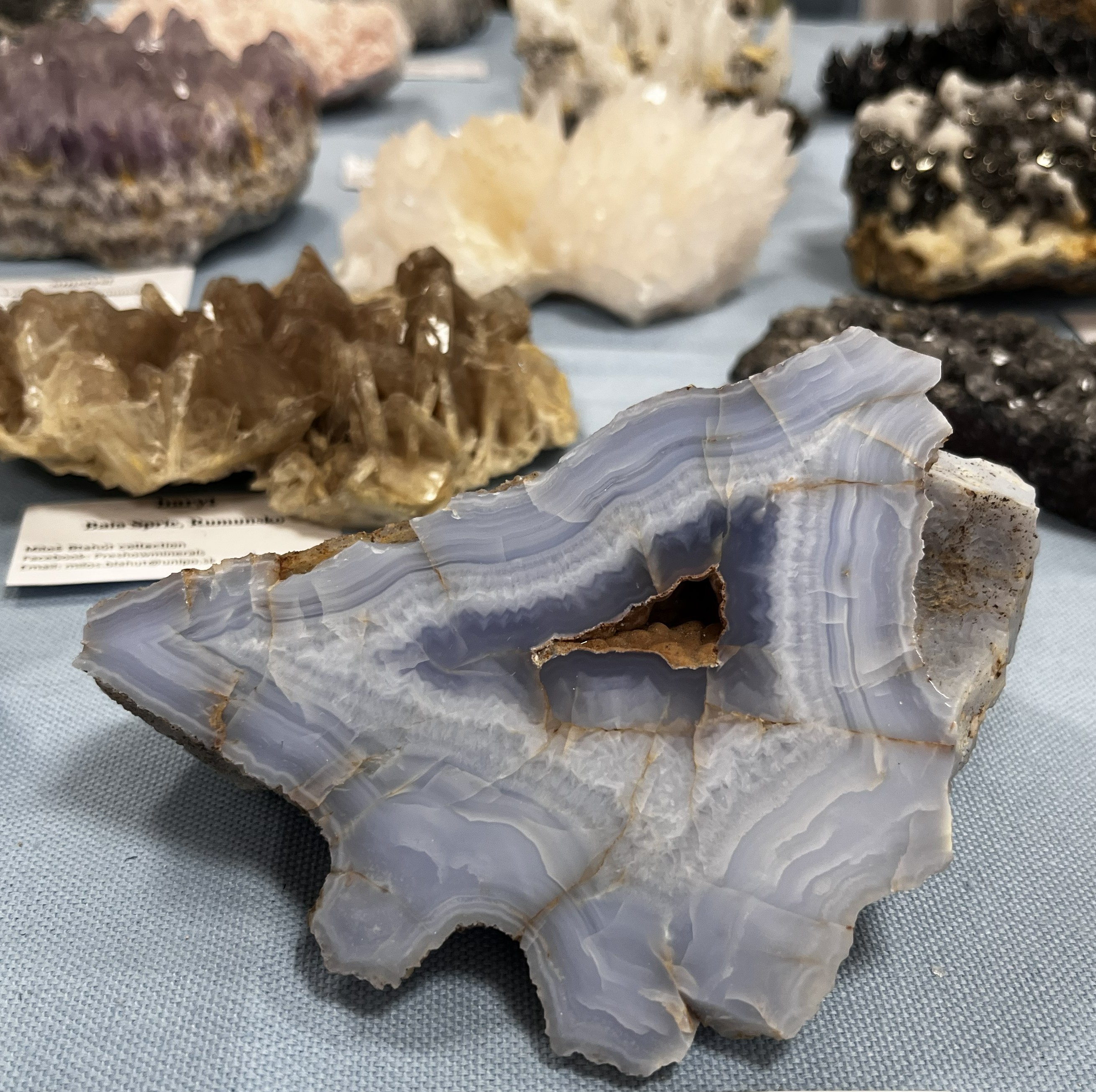 Vystava_mineralov_skamenelin_sperkov