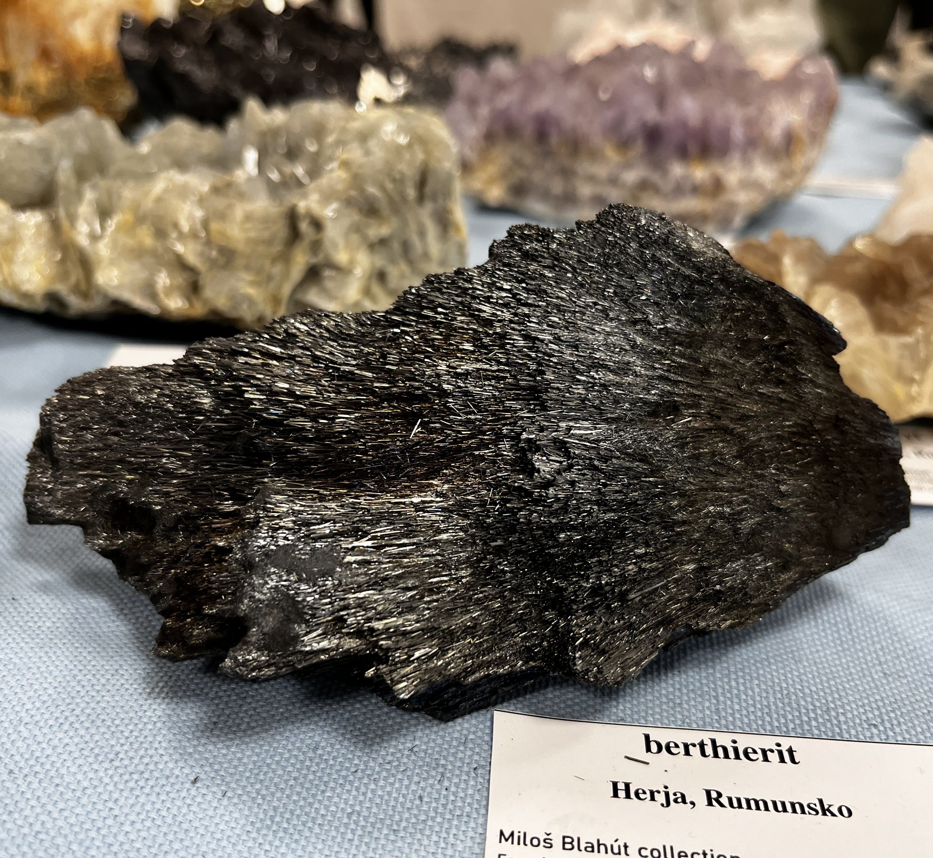 Vystava_mineralov_skamenelin_sperkov