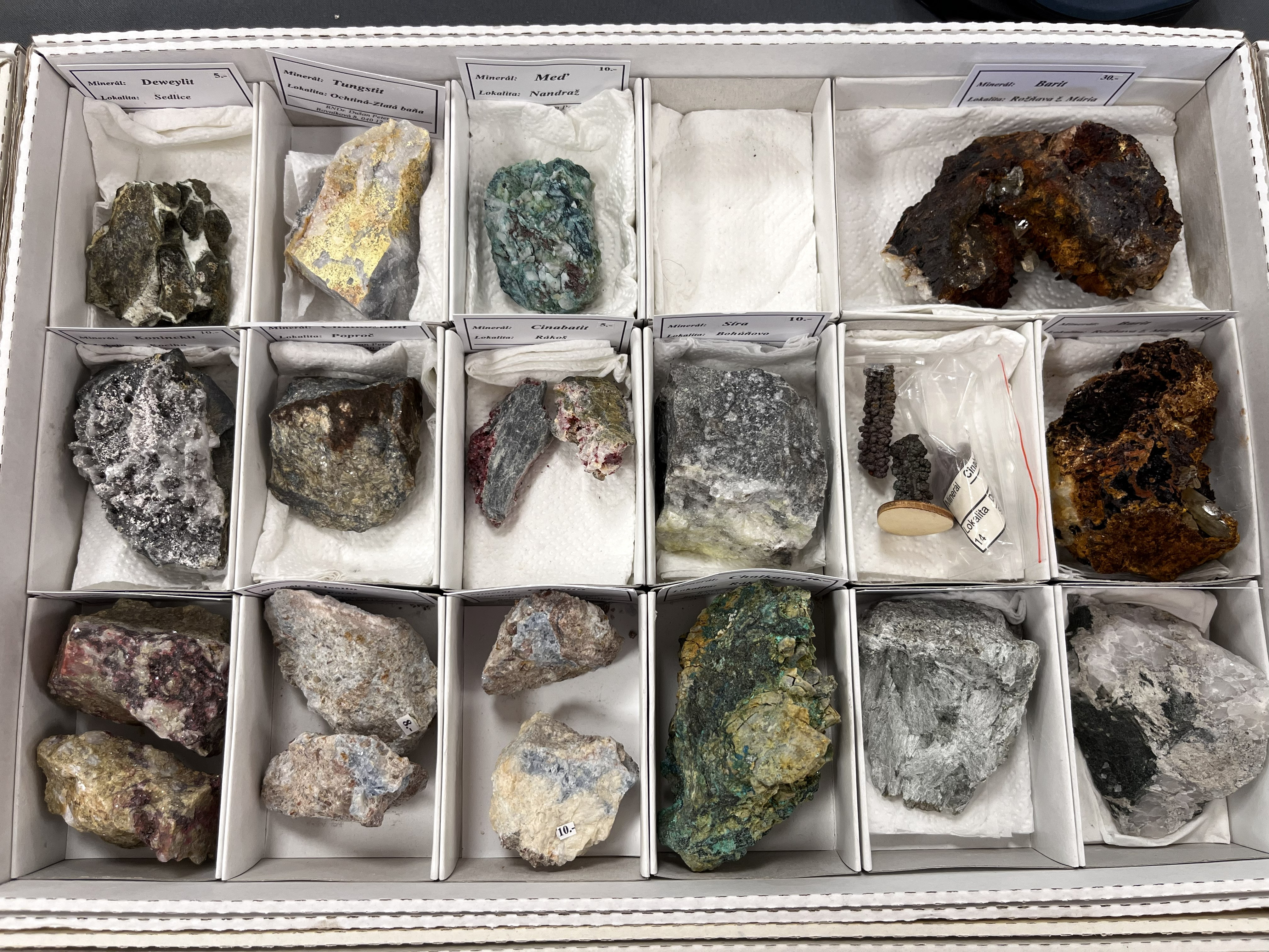 Vystava_mineralov_skamenelin_sperkov